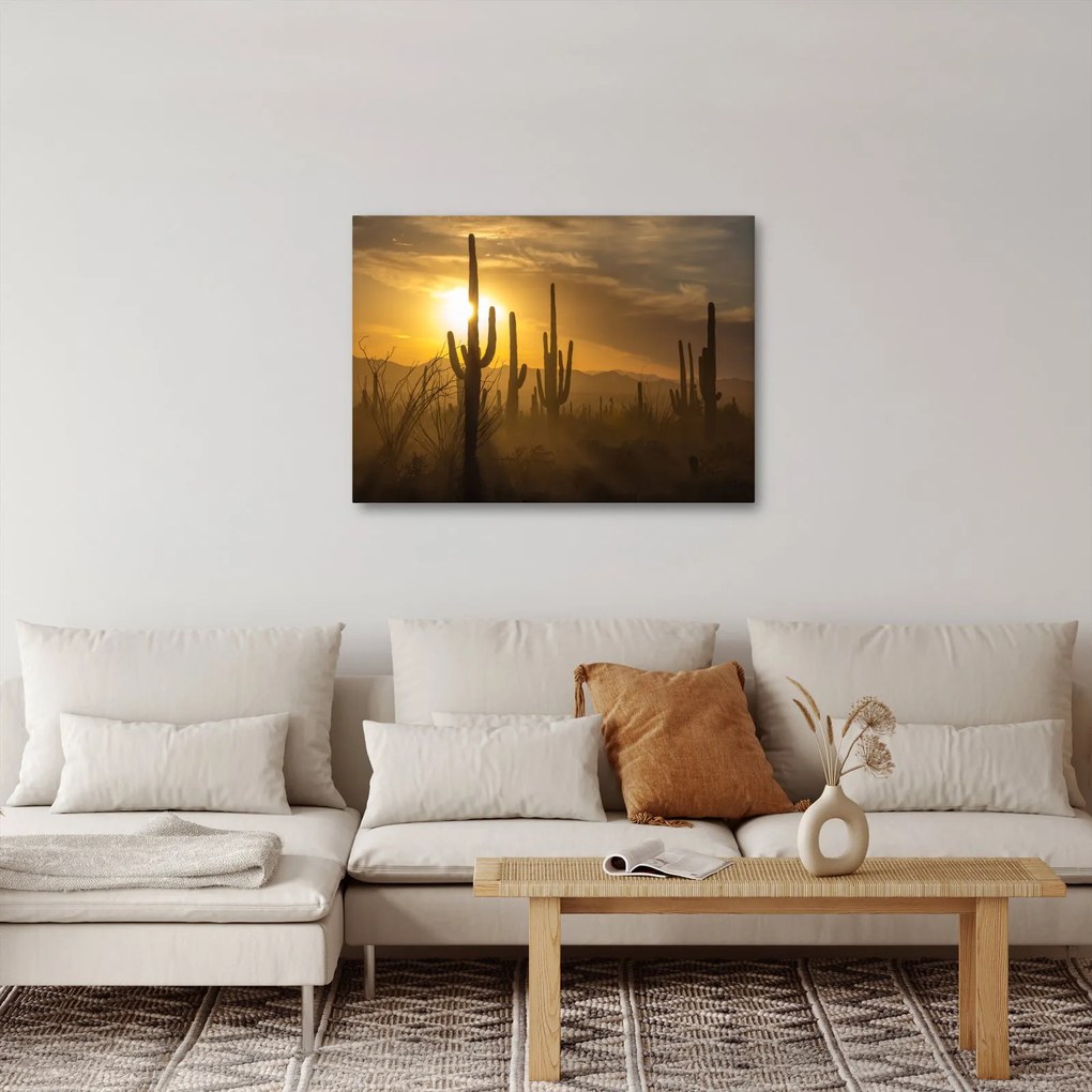 Tablou - Cactuși Saguaro (70x50 cm)
