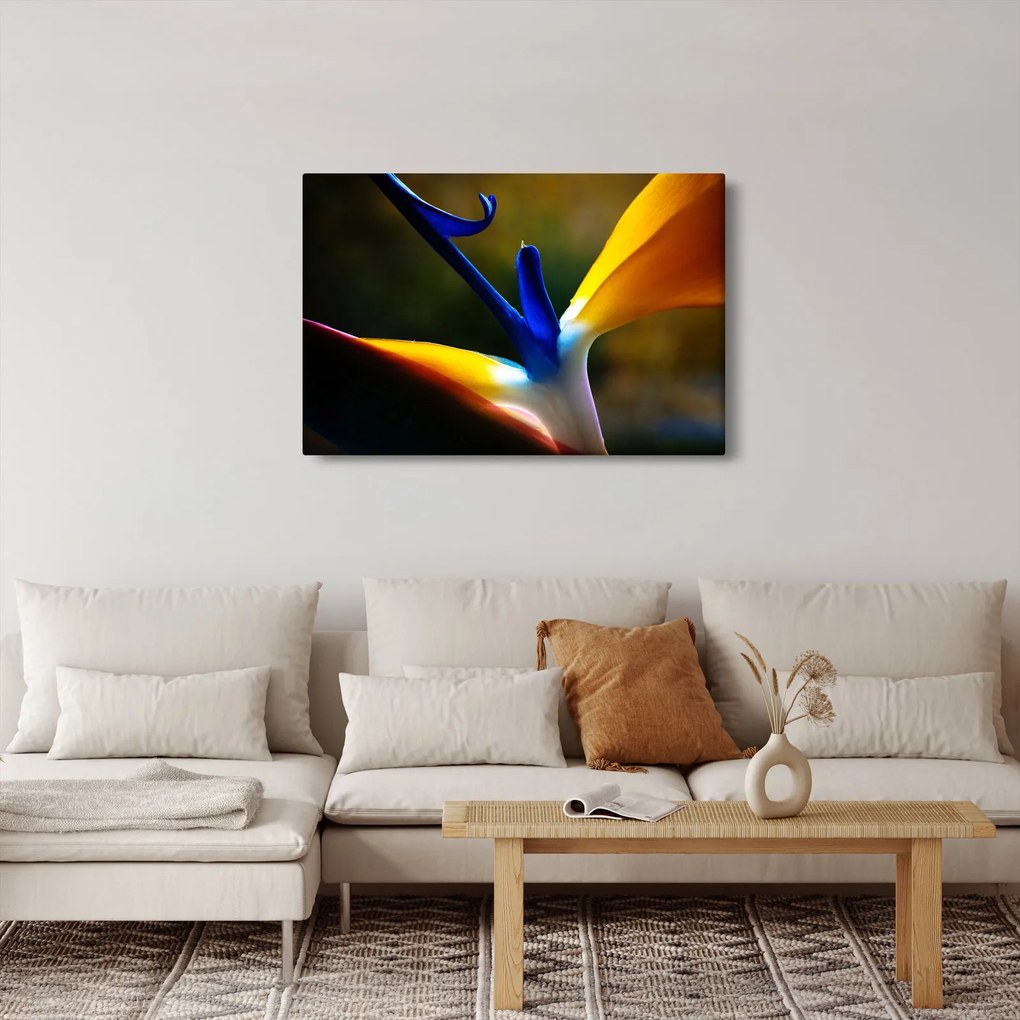 Tablou - Floare exotică (90x60 cm)