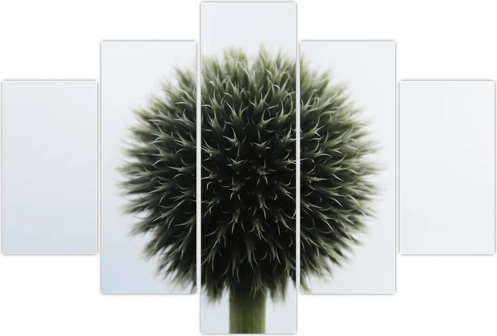 Tablou - Sfere de flori (150x105 cm)