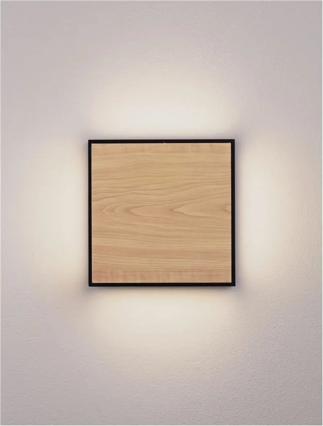 Aplica de perete LED iluminat exterior decorativ IP65 ASTRAL
