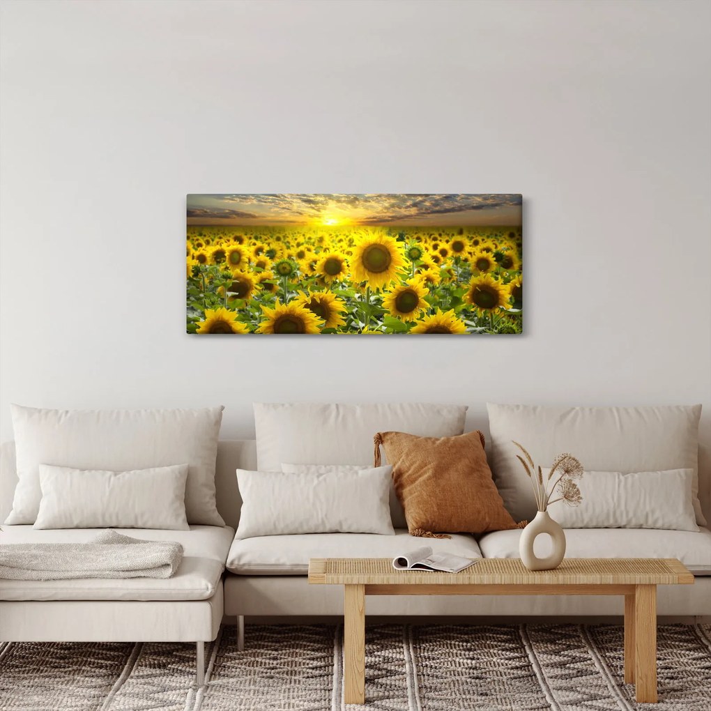 Tablou - Floarea-soarelui la apus de soare (120x50 cm)