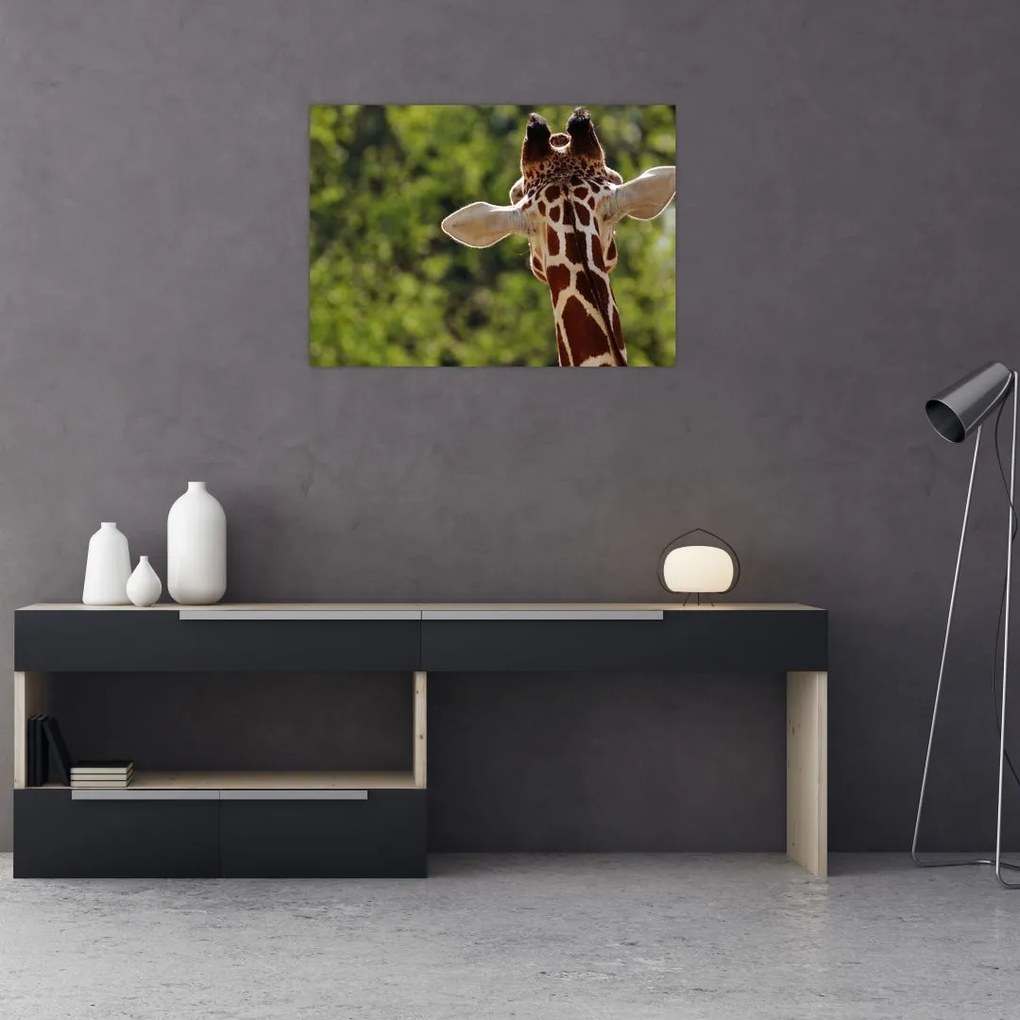 Tablou cu girafă din spate (70x50 cm)