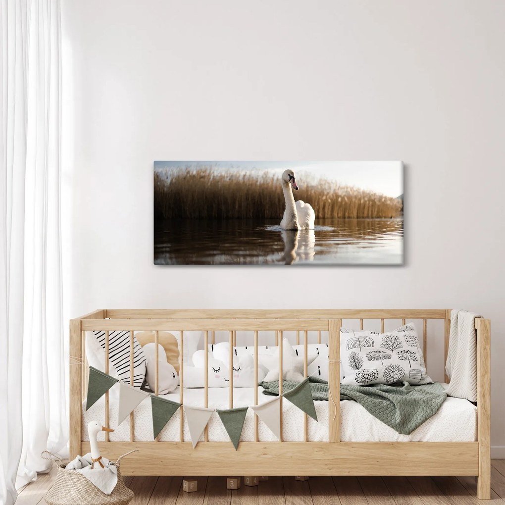 Tablou cu lebăda (120x50 cm)