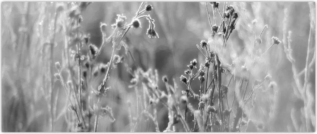 Tablou - Pajiște sălbatică (120x50 cm)