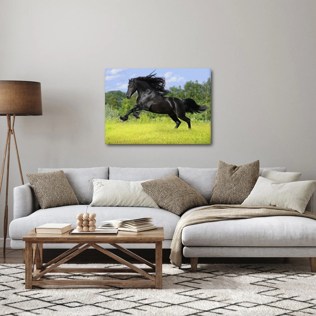 Tablou - Cal cu o coamă curgătoare (70x50 cm)