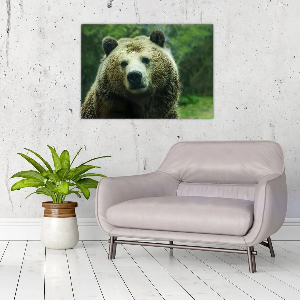 Tablou cu ursul (70x50 cm), în 40 de alte dimensiuni noi