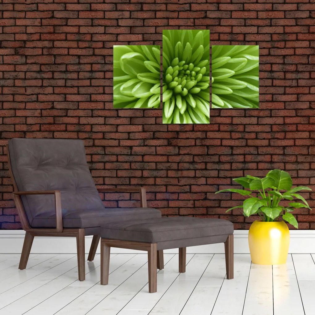 Tablou - Imagine macro a unei plante (90x60 cm)
