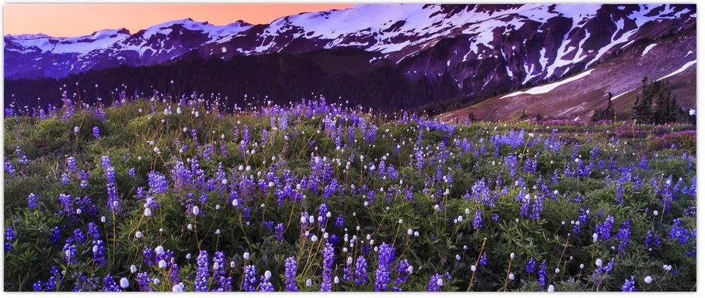 Tablou - Vulcan și flori (120x50 cm)