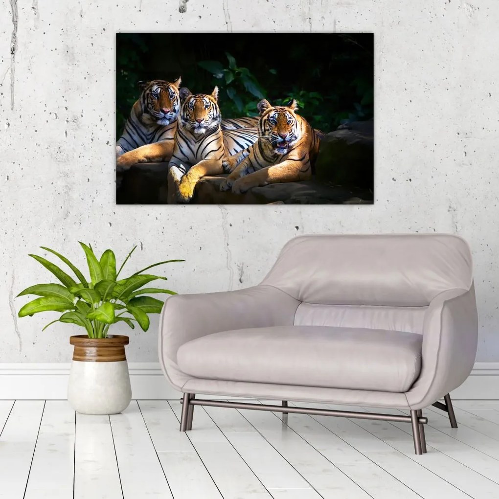 Tablou - Tigrii frați (90x60 cm)