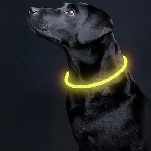 Zgardă luminoasă pentru câini - Purlov 24200