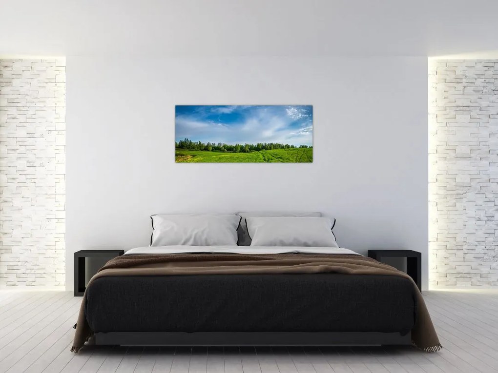 Tablou cu luncă (120x50 cm)
