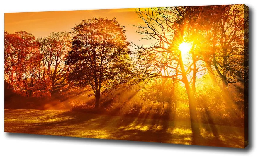 Tablou canvas Apus de soare