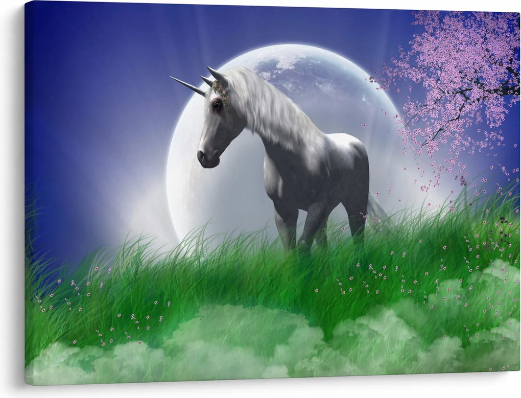 Tablou cu unicorn (70x50 cm)