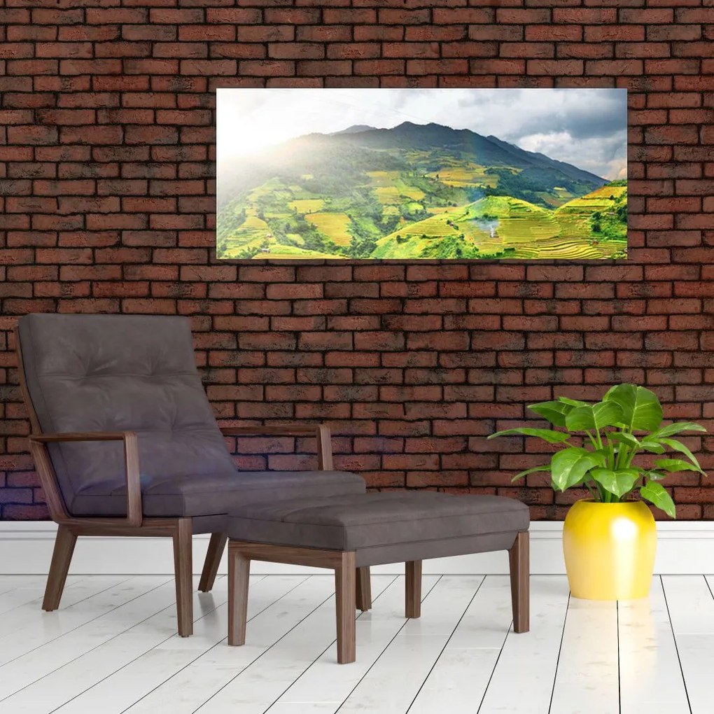 Tablou plantație (120x50 cm)