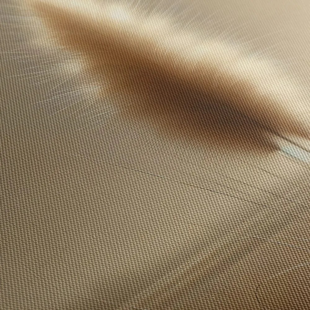 Tablou iarbă de pampas delicată