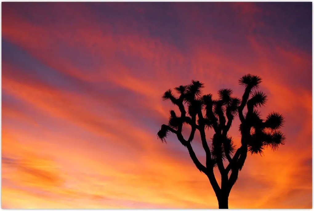 Tablou apus de soare deasupra siluetei unui copac (90x60 cm)
