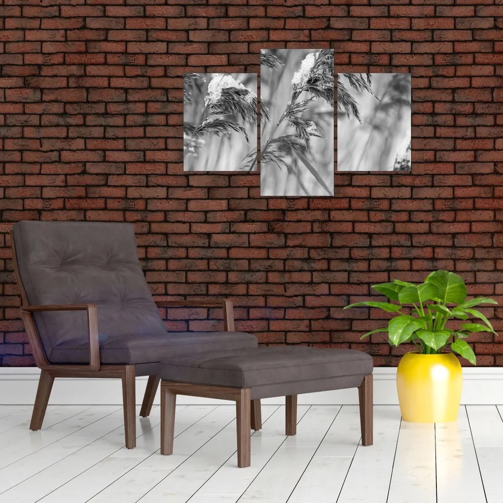 Tablou - Tei,alb-negru (90x60 cm)