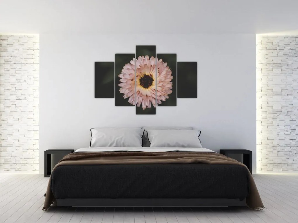 Tablou cu floare portocalie (150x105 cm)