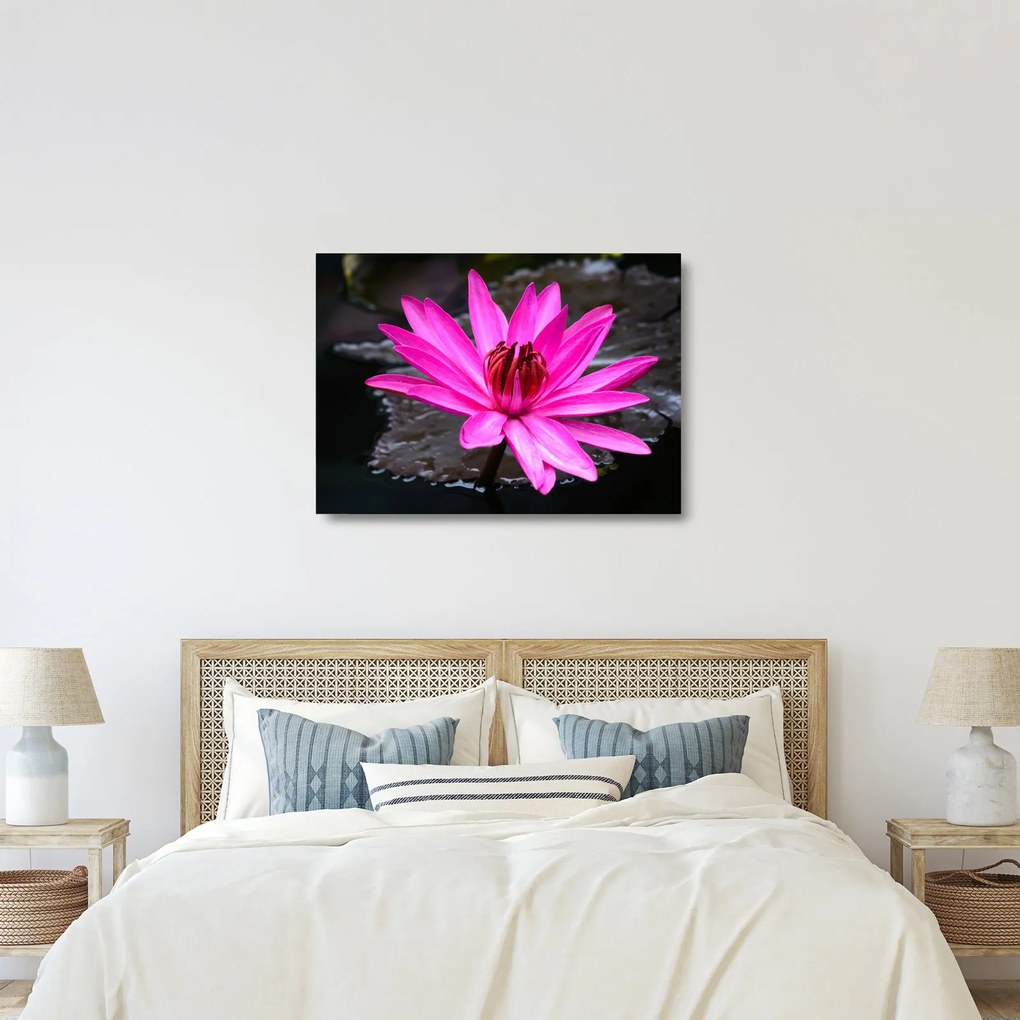 Tablou pe sticlă - floarea roz (70x50 cm)