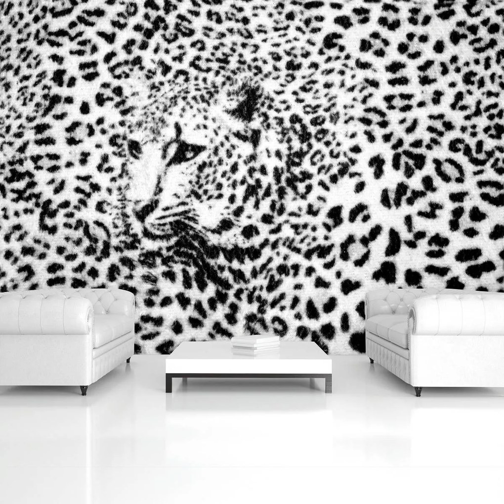 Fototapet - Albnegru gepard (254x184 cm)