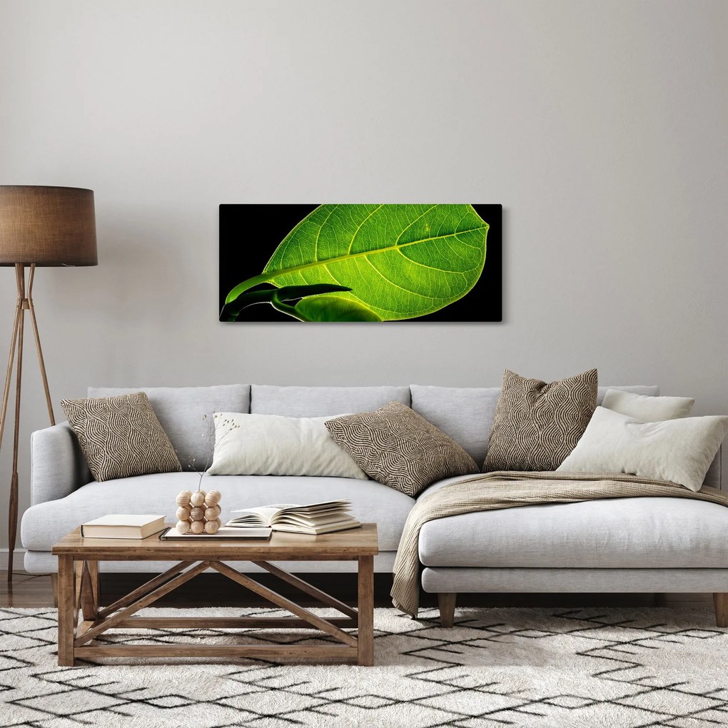 Tablou - frunză verde (120x50 cm)