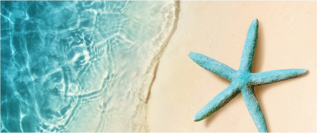 Tablou - Stea de mare pe plajă (120x50 cm)