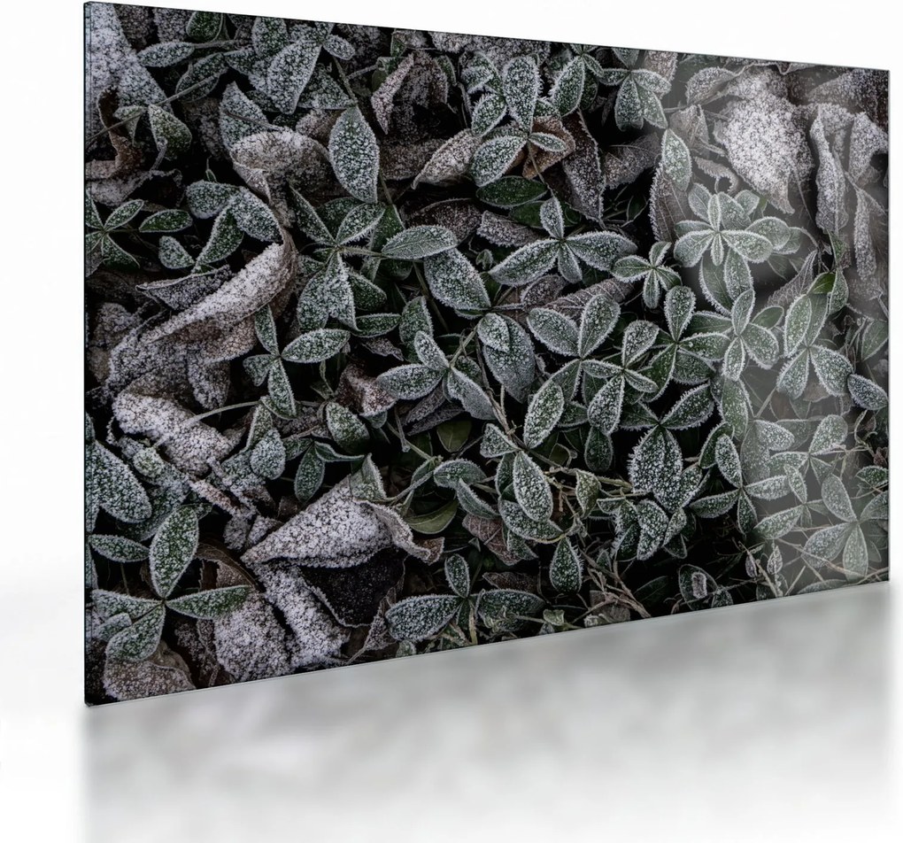 Tablou pe sticlă - Plante înghețate (70x50 cm)