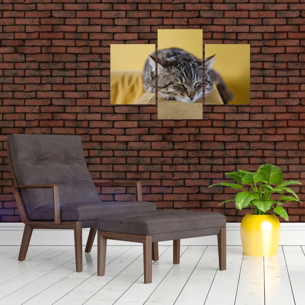 Tablou cu pisica pe fotoliu (90x60 cm)