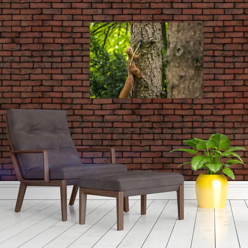 Tablou - Veverița (90x60 cm)