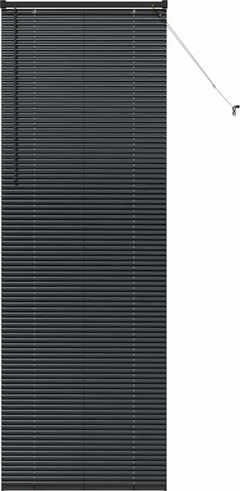 vidaXL Jaluzele venetiene Manual Negru 220 x 80 cm Aluminiu