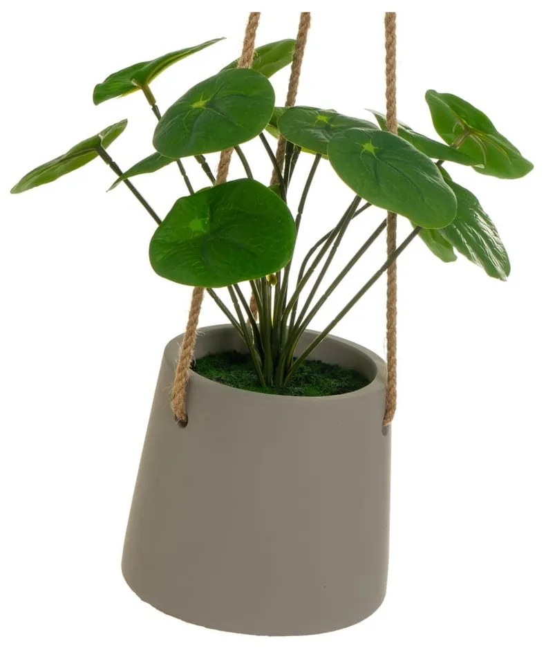 Plantă artificială (înălțime 24 cm) Pilea – Casa Selección