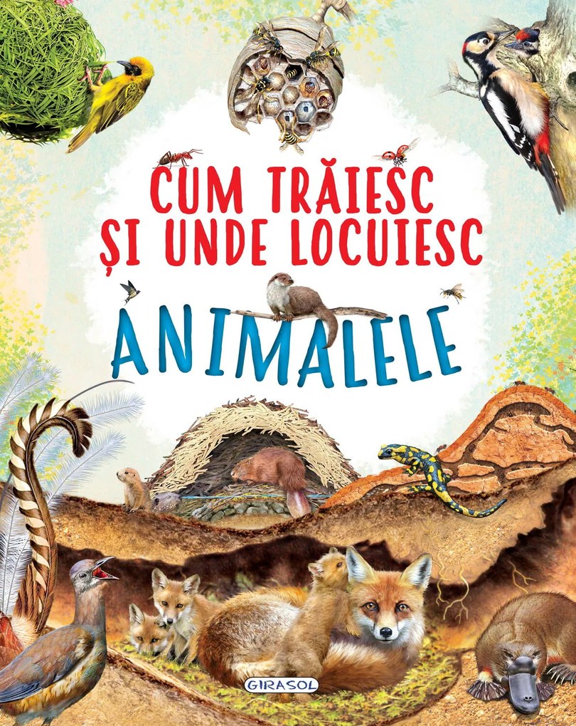 CUM TRAIESC SI UNDE LOCUIESC ANIMALELE - GIRASOL (978-606-024-249-9)