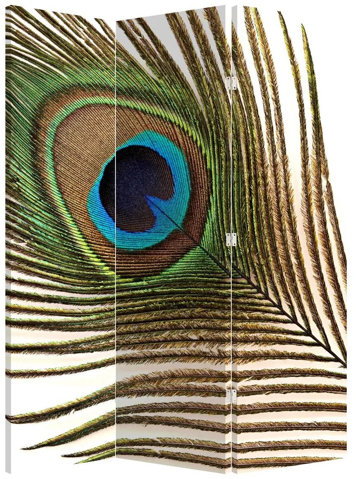 Paravan - Pene de păun (126x170 cm)