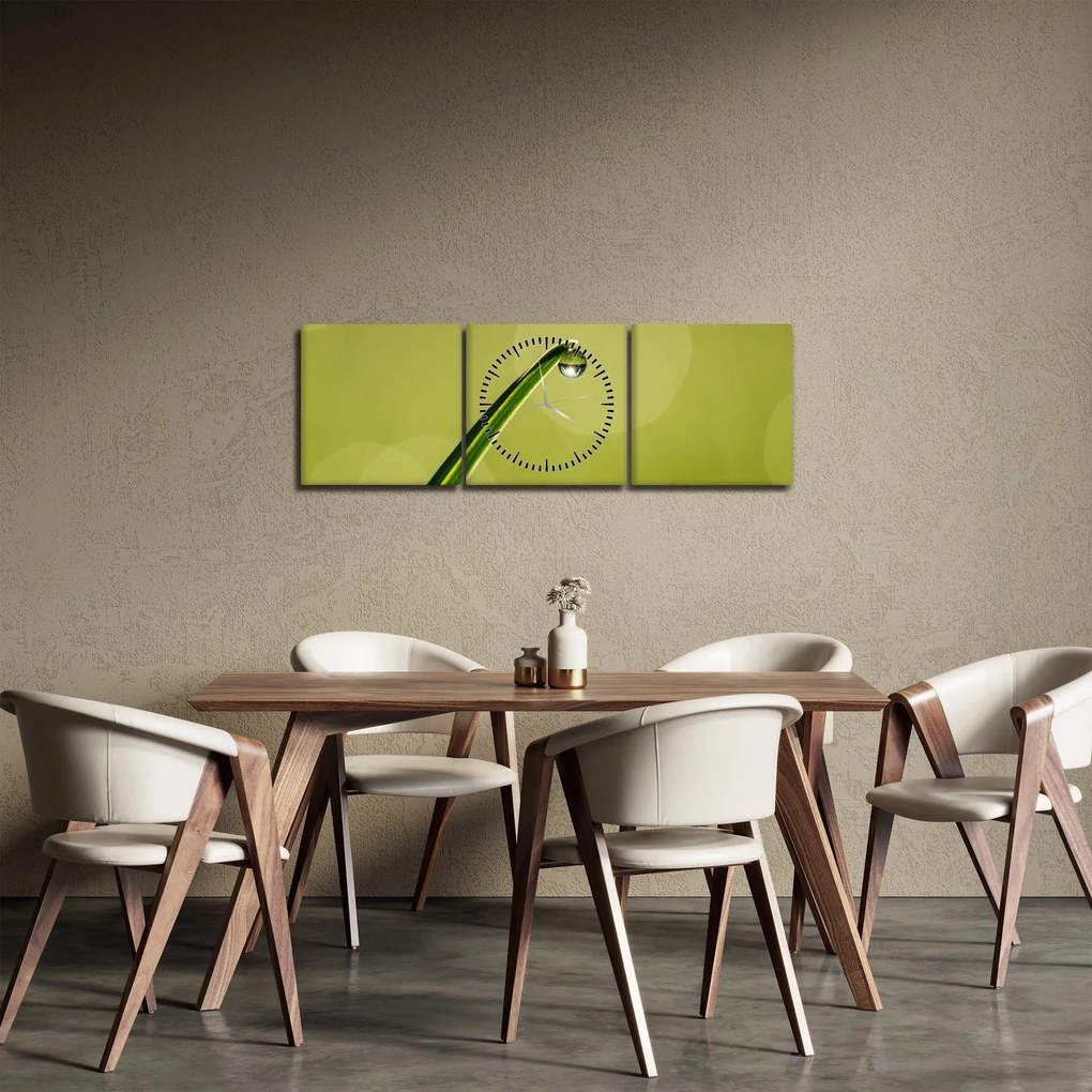 Tablou cu picătură de apă pe iarbă (cu ceas) (90x30 cm)