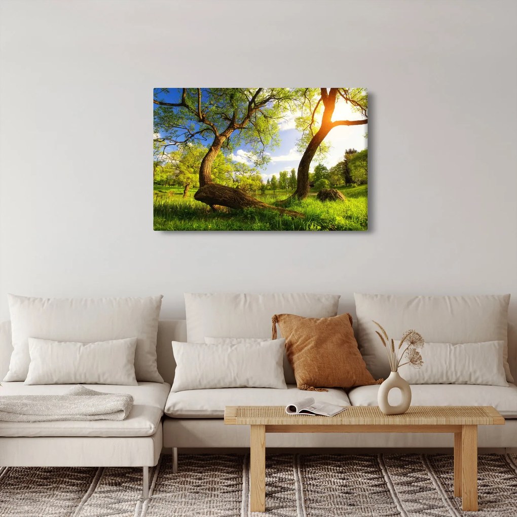 Tablou lunca ne primăvară (90x60 cm)