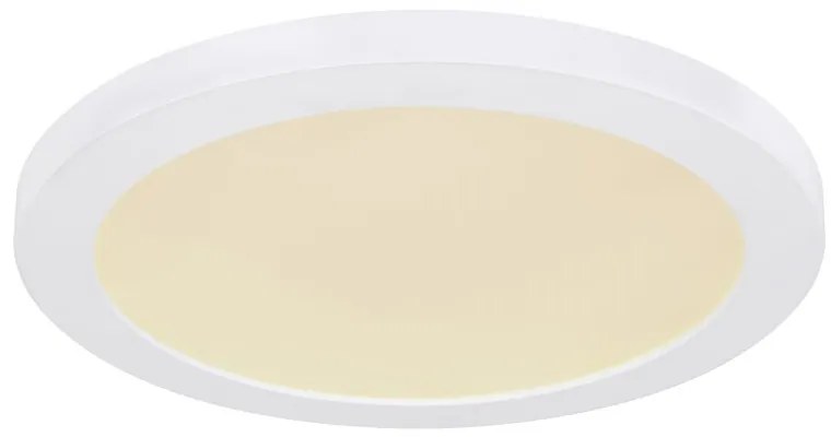 Plafoniera LED design modern, diametru 29,8cm, LASSE alb 12379-24W GL