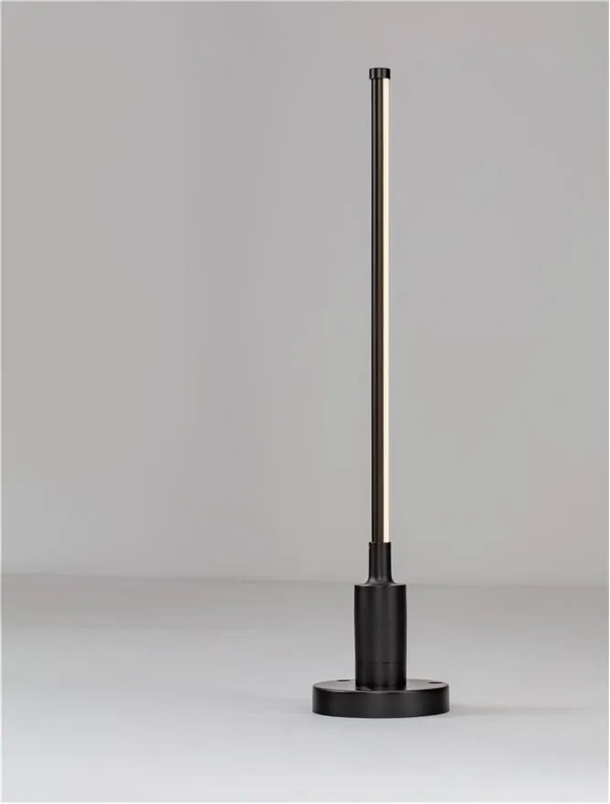 Tarus LED iluminat exterior decorativ IP65 DESSAY H-58cm
