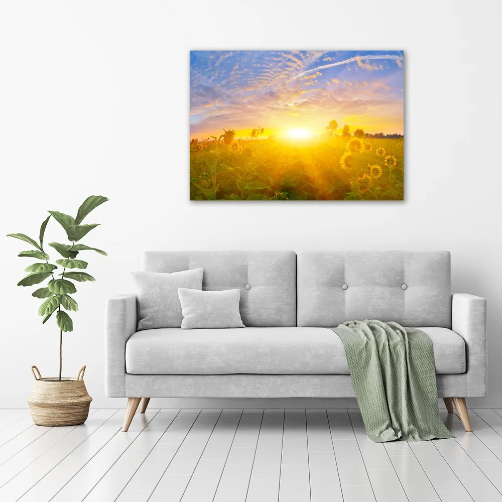 Tablou pe pânză canvas Câmp de floarea-soarelui