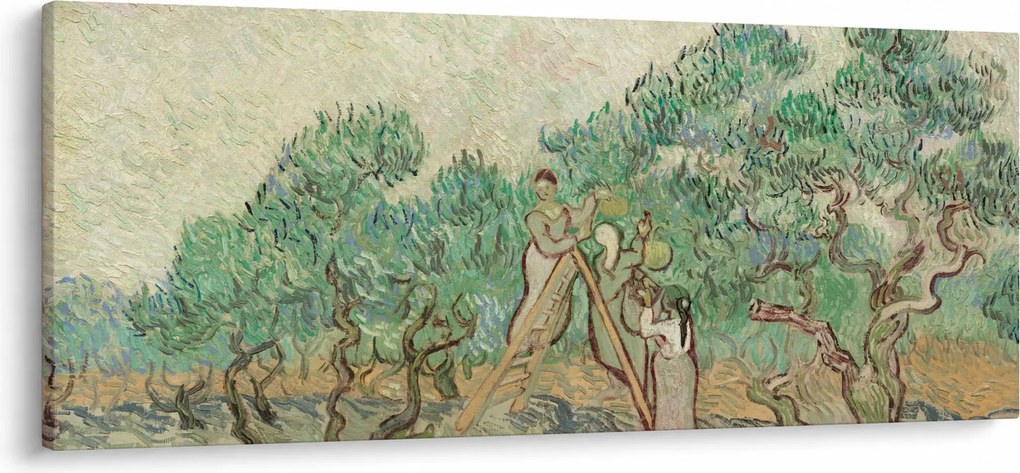 Tablou - Vincent van Gogh, The Olive Orchard, reproducere (120x50 cm)