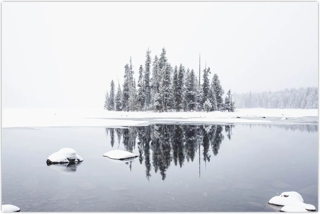 Tablou - A fost alb (90x60 cm)