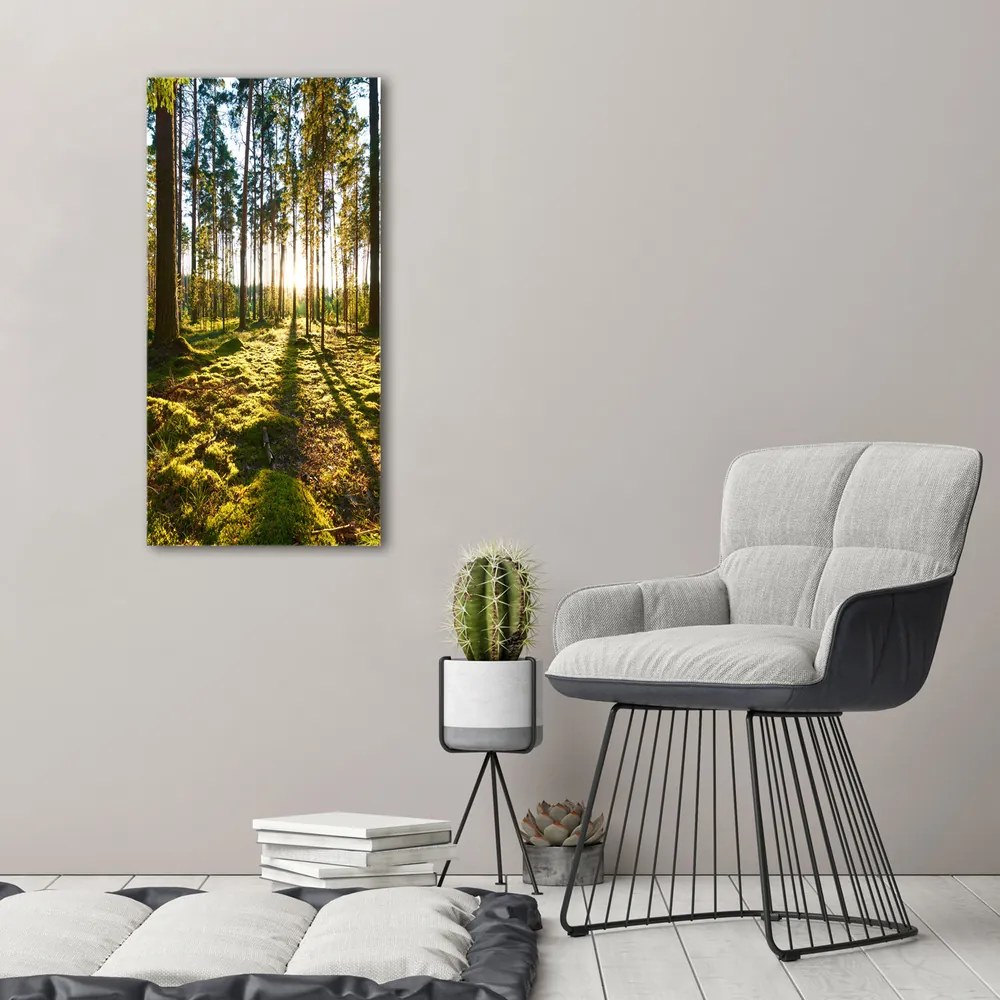 Imprimare tablou canvas O pădure de pini