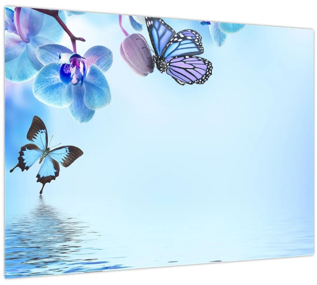 Tablou pe sticlă - Fluture pe flori de orhidee, albastru (70x50 cm)