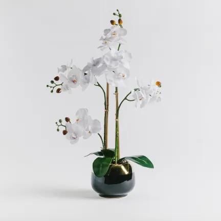 Compozitie florala orchielegant
