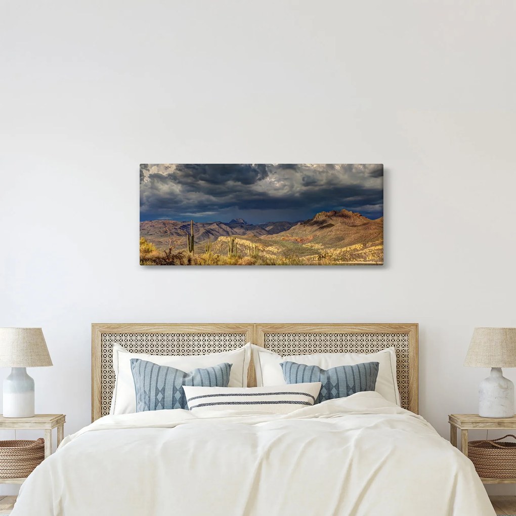 Tablou - cactușii în natură (120x50 cm)
