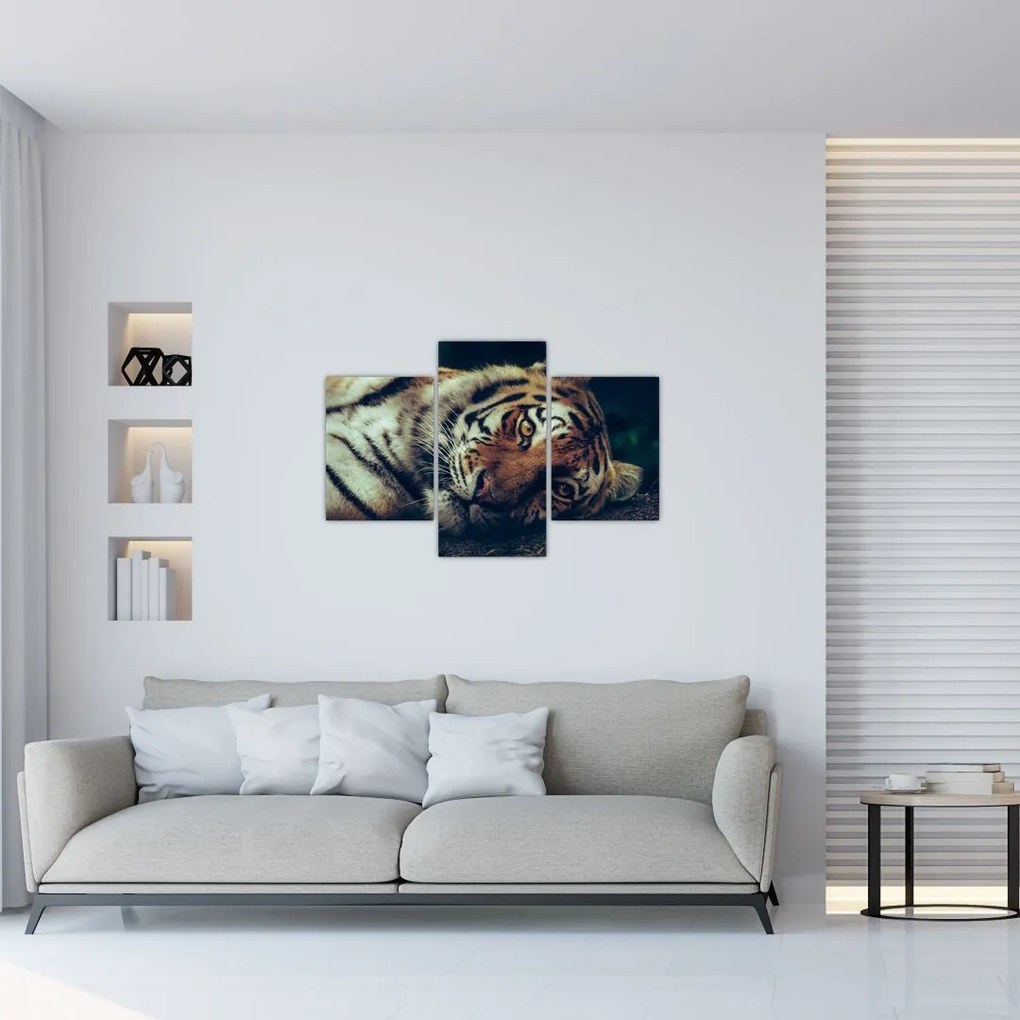 Tablou - Tigrul Siberian (90x60 cm)