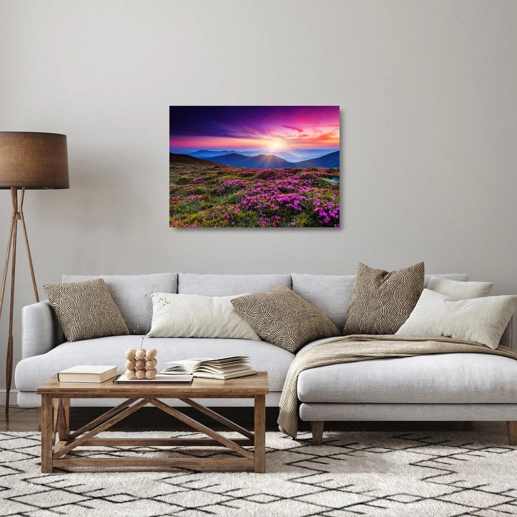 Tablou pe sticlă - Munte înflorit peisaj (70x50 cm)