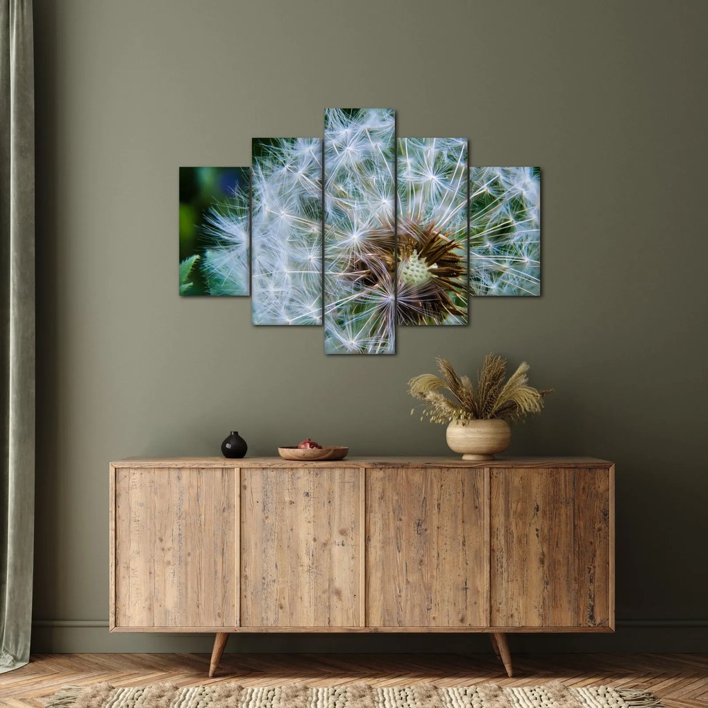 Tabloul cu păpădie desflorit (150x105 cm)