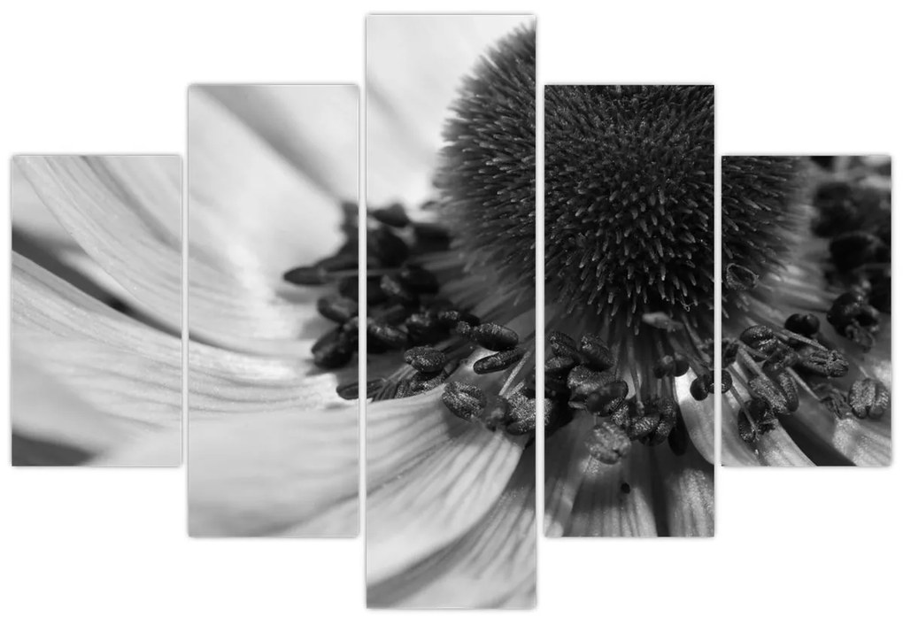 Tablou - Floare în alb-negru (150x105 cm)