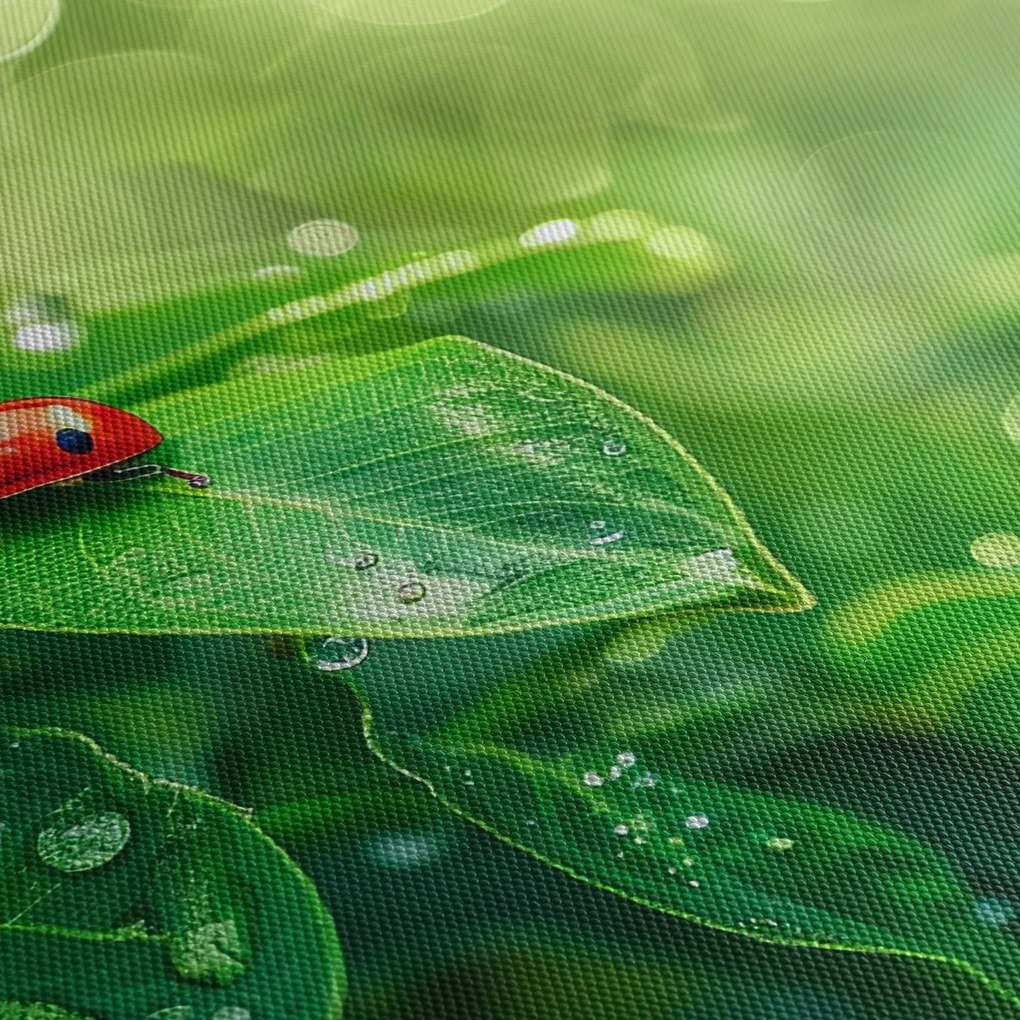 Tablou - Buburuza (120x50 cm)