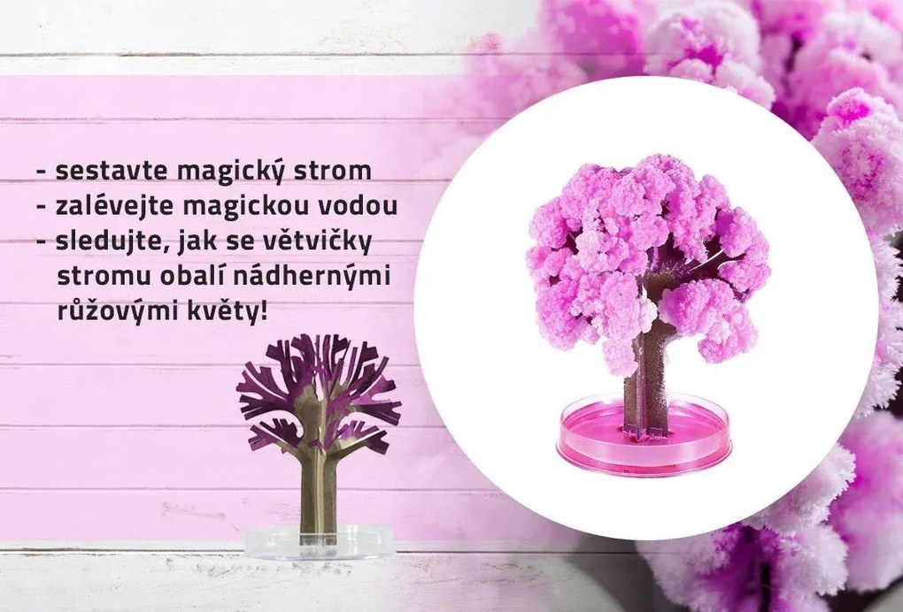 Zaparkorun Arborele magic Sakura
